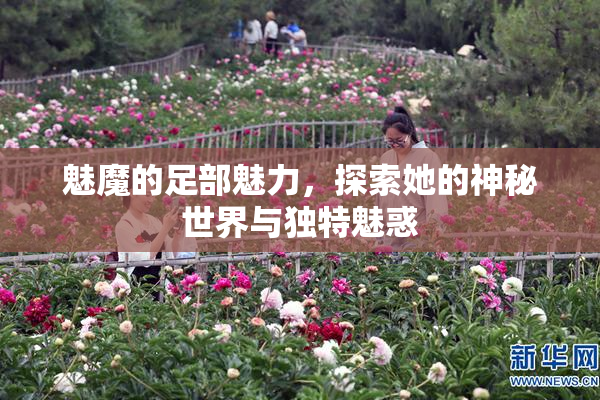 魅魔的足部魅力，探索她的神秘世界与独特魅惑