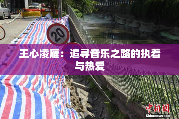王心凌雁：追寻音乐之路的执着与热爱