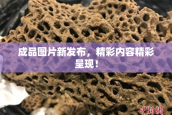 成品图片新发布，精彩内容精彩呈现！