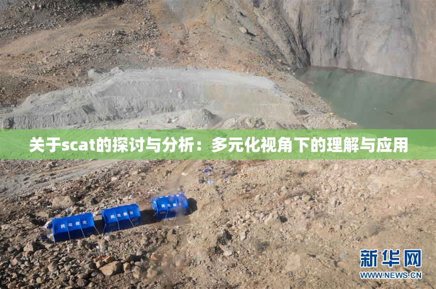 关于scat的探讨与分析：多元化视角下的理解与应用