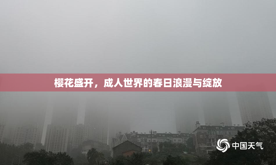 樱花盛开，成人世界的春日浪漫与绽放