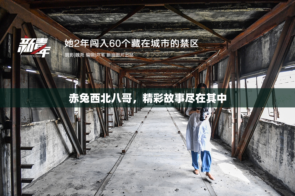 赤兔西北八哥，精彩故事尽在其中