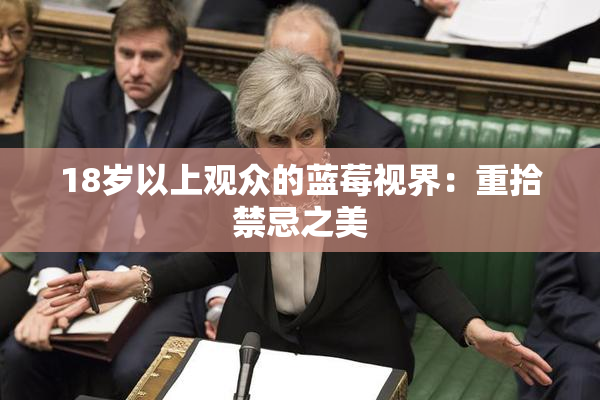18岁以上观众的蓝莓视界：重拾禁忌之美
