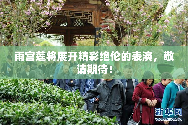 雨宫莲将展开精彩绝伦的表演，敬请期待！