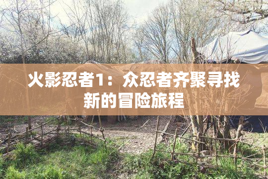 火影忍者1：众忍者齐聚寻找新的冒险旅程