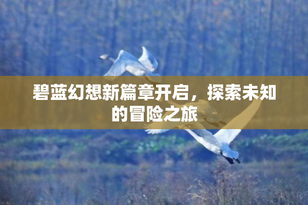 碧蓝幻想新篇章开启，探索未知的冒险之旅