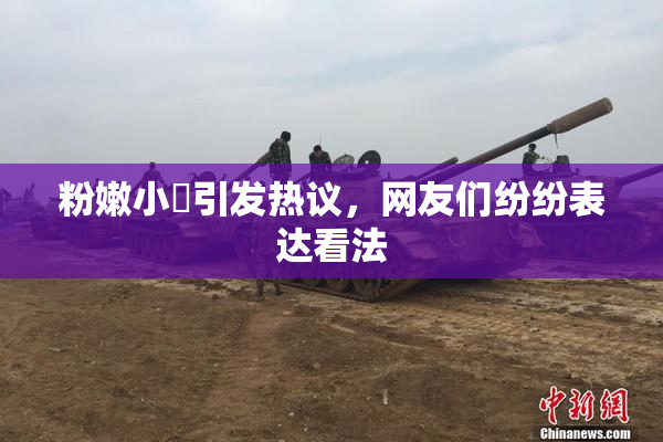 粉嫩小泬引发热议，网友们纷纷表达看法