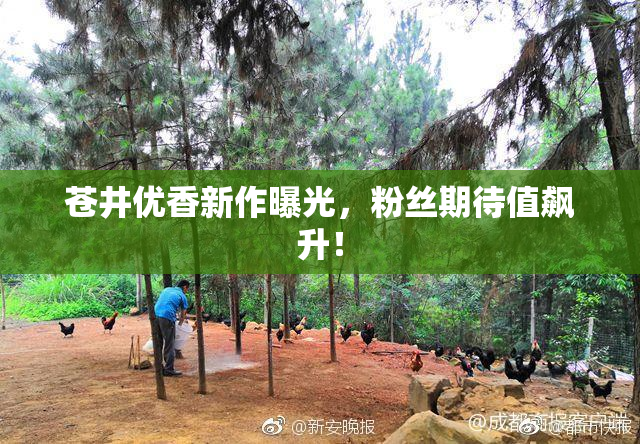 苍井优香新作曝光，粉丝期待值飙升！