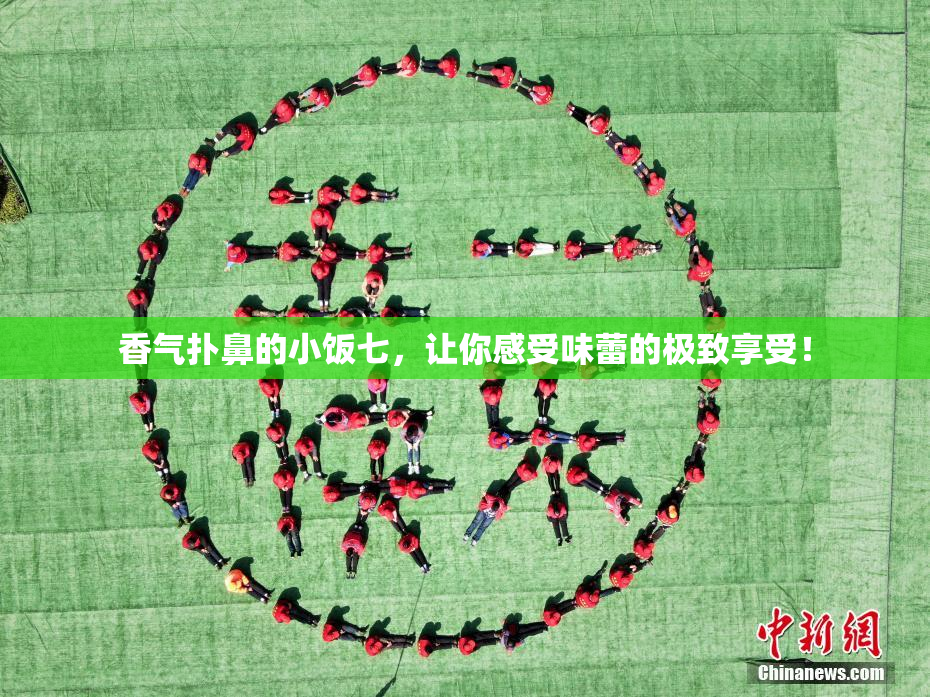 香气扑鼻的小饭七，让你感受味蕾的极致享受！