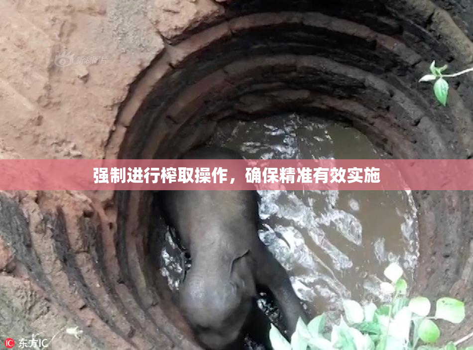 强制进行榨取操作，确保精准有效实施