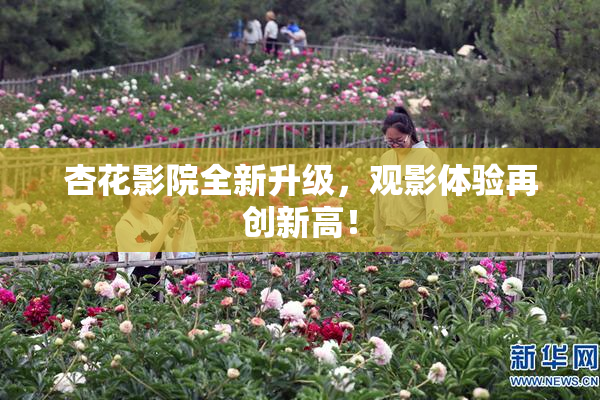 杏花影院全新升级，观影体验再创新高！