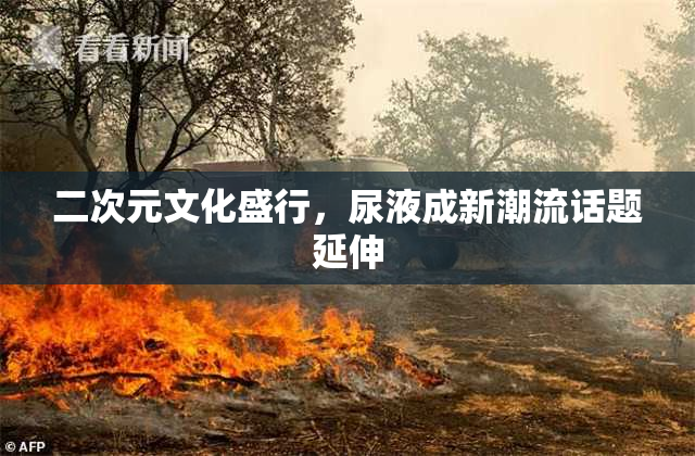 二次元文化盛行，尿液成新潮流话题延伸