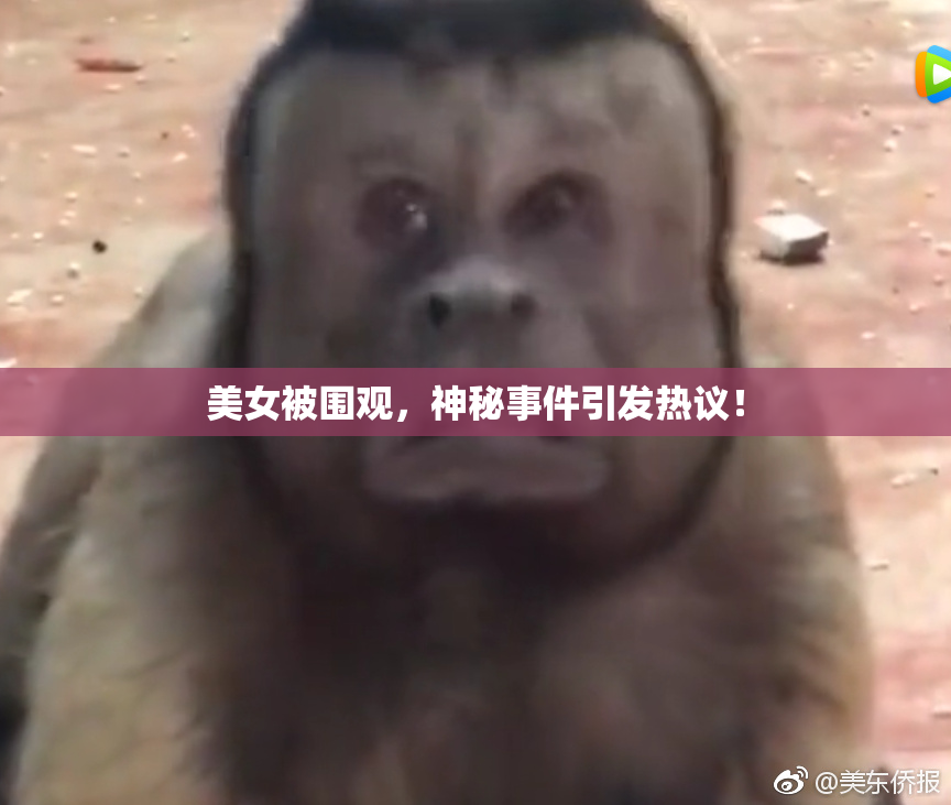 美女被围观，神秘事件引发热议！