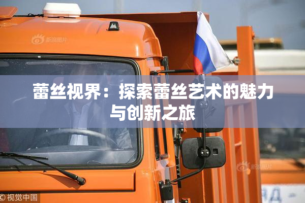 蕾丝视界：探索蕾丝艺术的魅力与创新之旅