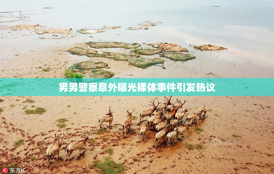 男男警察意外曝光裸体事件引发热议