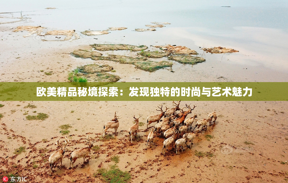 欧美精品秘境探索：发现独特的时尚与艺术魅力