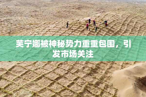 芙宁娜被神秘势力重重包围，引发市场关注
