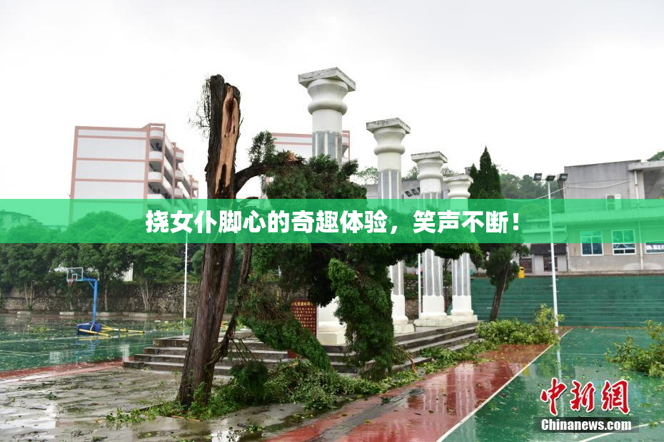 挠女仆脚心的奇趣体验，笑声不断！