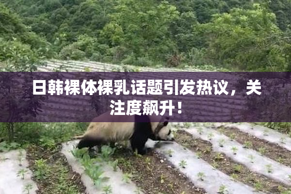 日韩裸体裸乳话题引发热议，关注度飙升！