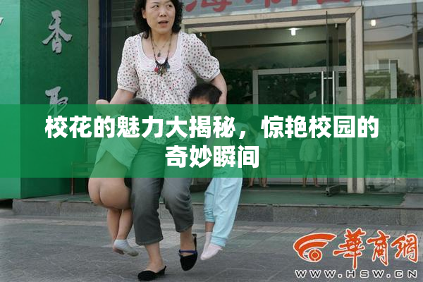 校花的魅力大揭秘，惊艳校园的奇妙瞬间