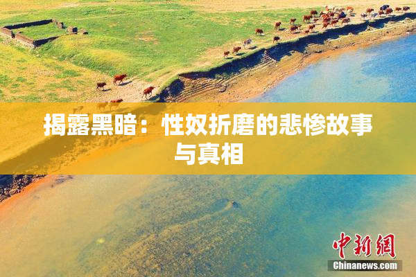 揭露黑暗：性奴折磨的悲惨故事与真相