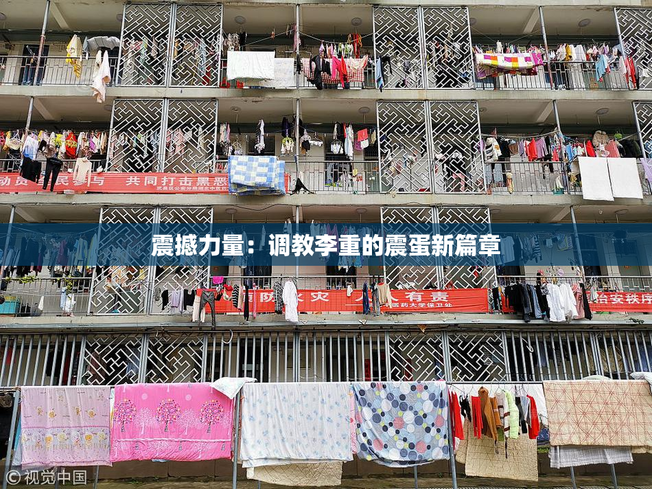 震撼力量：调教李重的震蛋新篇章