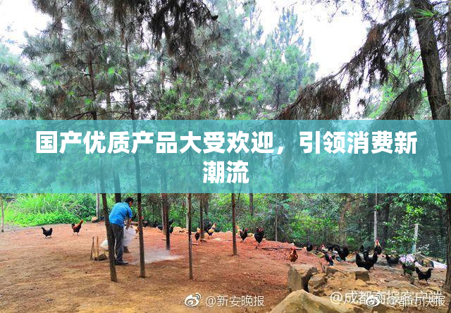 国产优质产品大受欢迎，引领消费新潮流