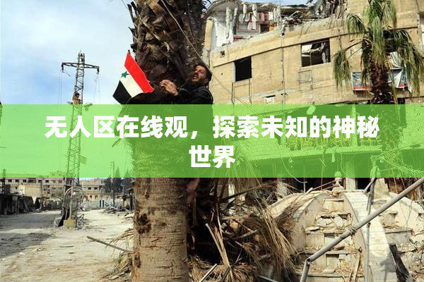 无人区在线观，探索未知的神秘世界