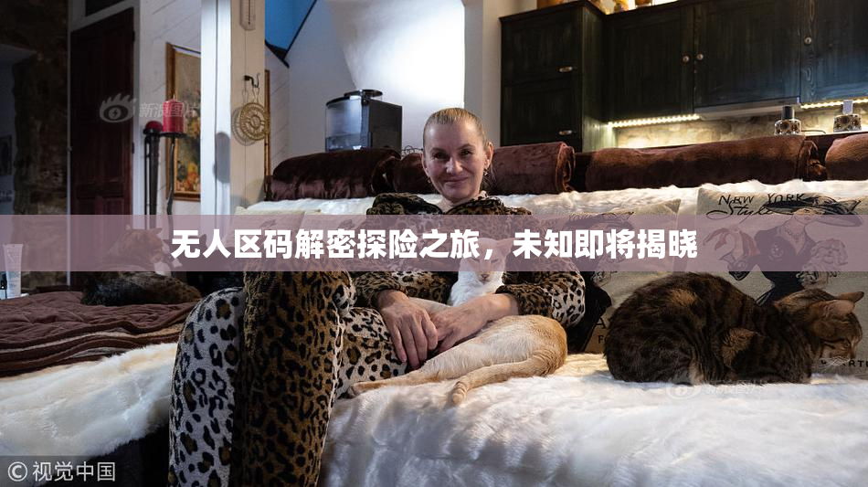 无人区码解密探险之旅，未知即将揭晓