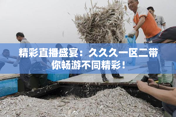 精彩直播盛宴：久久久一区二带你畅游不同精彩！