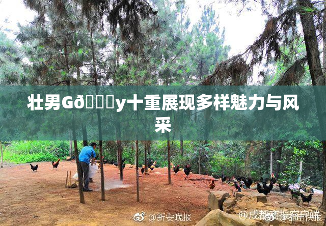 壮男G🈚y十重展现多样魅力与风采