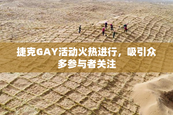 捷克GAY活动火热进行，吸引众多参与者关注