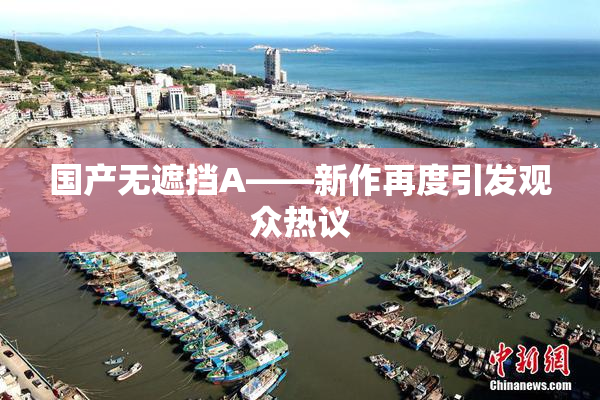 国产无遮挡A——新作再度引发观众热议