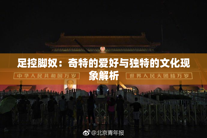 足控脚奴：奇特的爱好与独特的文化现象解析