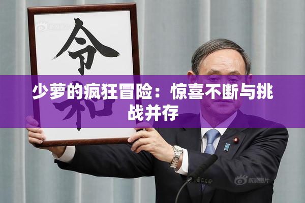 少萝的疯狂冒险：惊喜不断与挑战并存