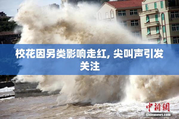 校花因另类影响走红, 尖叫声引发关注