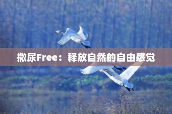 撒尿Free：释放自然的自由感觉