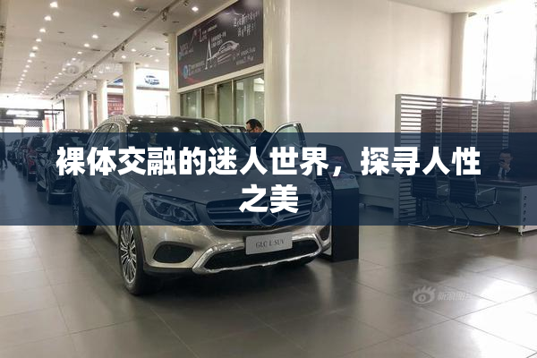 裸体交融的迷人世界，探寻人性之美