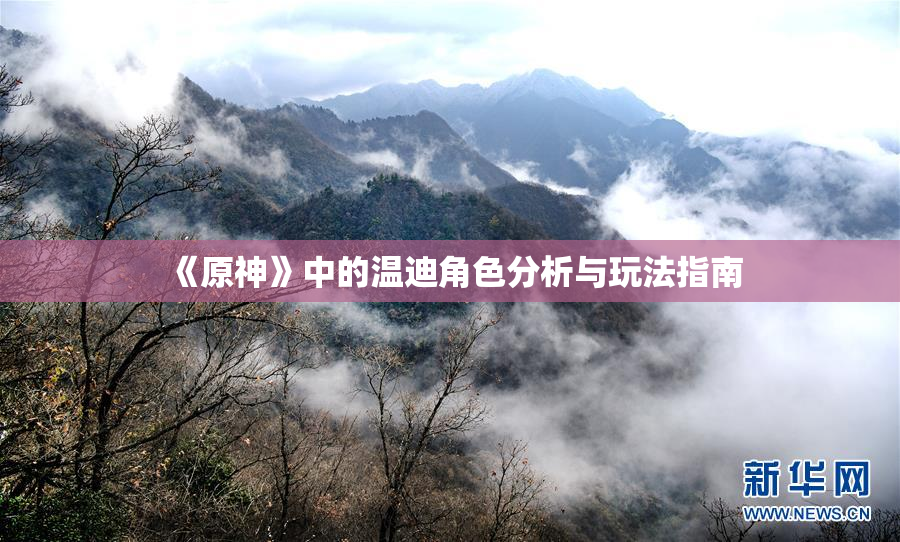 《原神》中的温迪角色分析与玩法指南