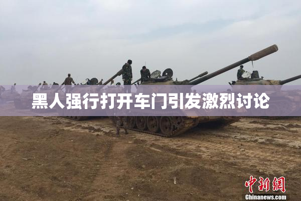 黑人强行打开车门引发激烈讨论