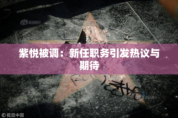 紫悦被调：新任职务引发热议与期待
