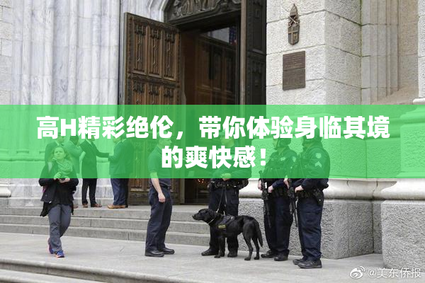 高H精彩绝伦，带你体验身临其境的爽快感！