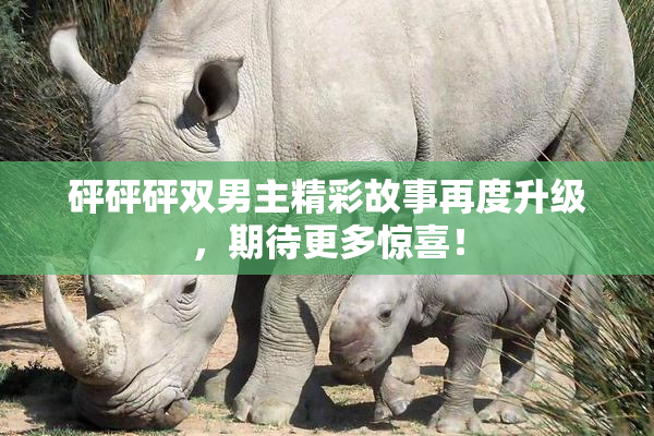 砰砰砰双男主精彩故事再度升级，期待更多惊喜！