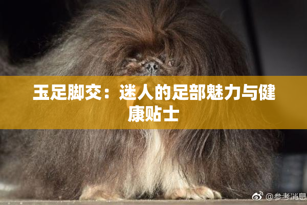 玉足脚交：迷人的足部魅力与健康贴士