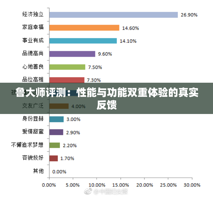鲁大师评测：性能与功能双重体验的真实反馈