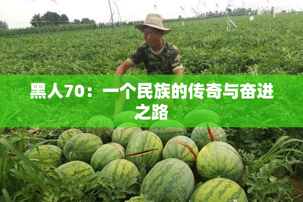 黑人70：一个民族的传奇与奋进之路