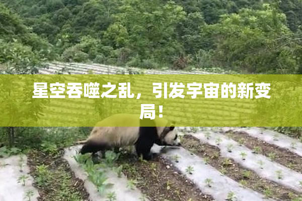 星空吞噬之乱，引发宇宙的新变局！