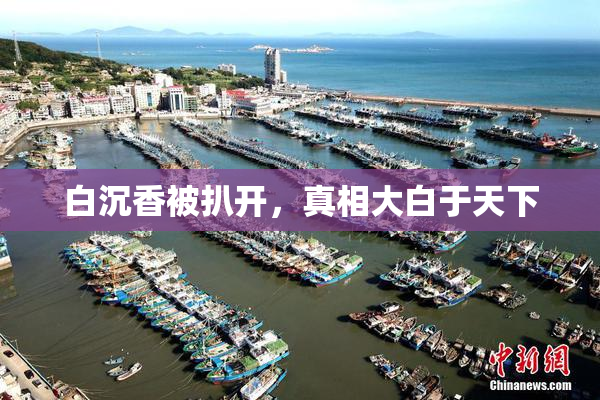 白沉香被扒开，真相大白于天下