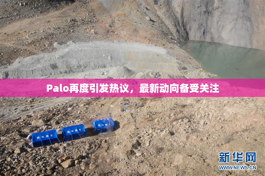 Palo再度引发热议，最新动向备受关注