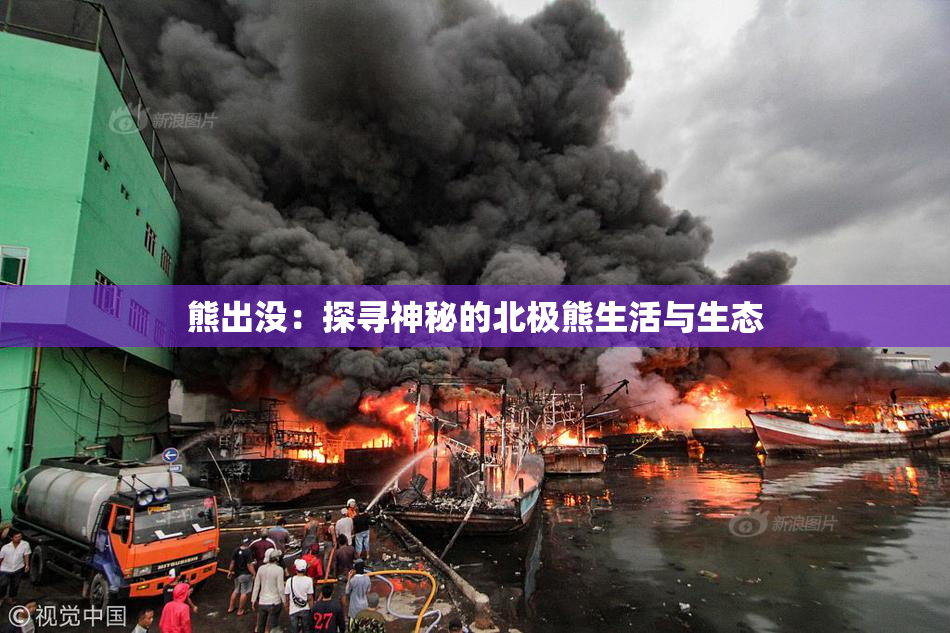 熊出没：探寻神秘的北极熊生活与生态